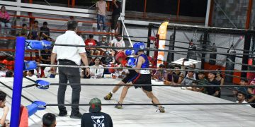 Inicia Torneo de Box de los Barrios, CRECES en Deporte