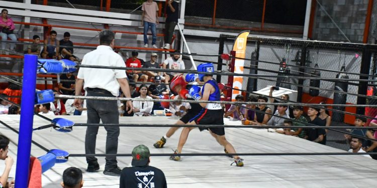 Inicia Torneo de Box de los Barrios, CRECES en Deporte