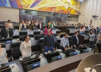 Plantean en Congreso de Sonora mayores penas contra la violencia familiar