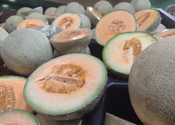Descartan Senasica y Cofepris que el melón sonorense fuera causante de brote de salmonella en Estados Unidos y Canadá