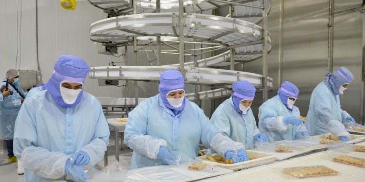 Registra Sonora 14 mil empleos nuevos en 2024