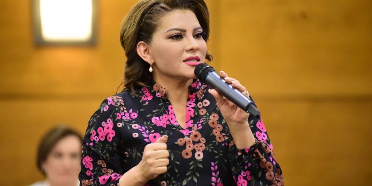 Las organizaciones de la sociedad civil son aliadas de la transformación: Lorenia Valles