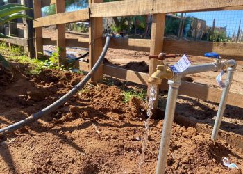 Avanza Gobierno del Estado en trabajos de red de agua potable en la colonia Tres Reinas