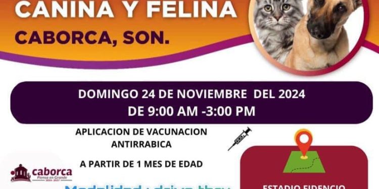 Aprovecha la Jornada de Vacunación Canina y Felina en su modalidad Drive Thru este domingo