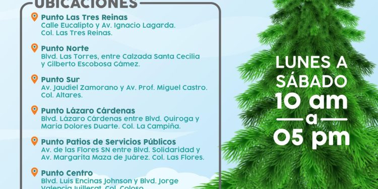 Invita Ayuntamiento de Hermosillo a depositar árboles navideños en centros de acopio