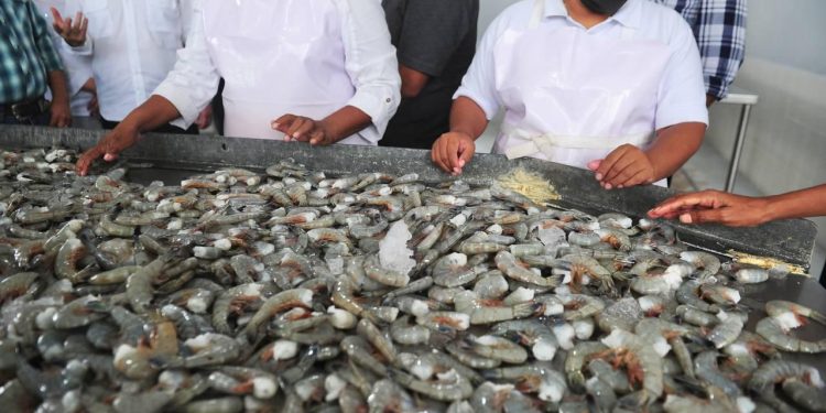 Gobernador Durazo posiciona a Sonora como líder nacional en producción pesquera