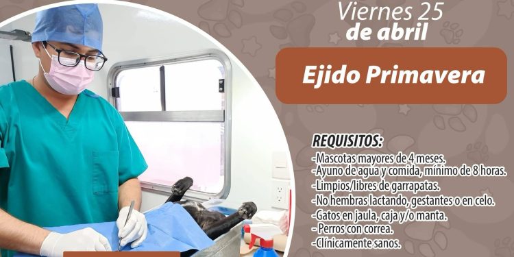 Esta semana la Unidad Móvil Veterinaria visitará la colonia La Granja y el Ejido Primavera