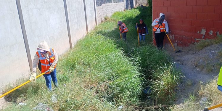 Continua el Ayuntamiento con limpieza de arroyos y espacios públicos en Caborca.