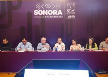 Gobernador Durazo logra expansión histórica de programas sociales del Bienestar rural