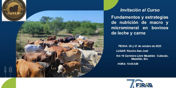 Sinaloa accede a programas federales de impulso ganadero gracias a la gestión del Gobierno del Estado