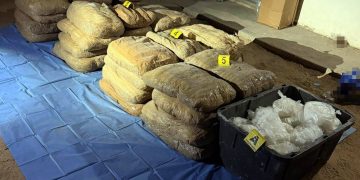 Mesa Estatal de Seguridad decomisa cerca de media tonelada de metanfetamina en operativos en San Luis Río Colorado