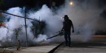 Salud Sonora fumiga más de 154 mil hectáreas contra el dengue en 283 localidades