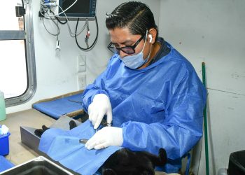 Reconoce Instituto Municipal de Protección y Bienestar Animal a rescatistas por sumarse a jornadas de esterilizaciones