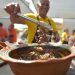 Anuncia Gobierno de Hermosillo nuevos horarios en traslados gratuitos a 9na. Muestra Gastronómica de San Pedro