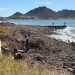 Gobierno de Sonora verifica calidad sanitaria en playas de San Carlos conforme a norma federal