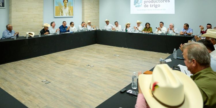 Gobernador Durazo y Sader garantizan apoyo al campo sonorense con estrategia de reconversión de cultivos
