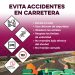 Llama Salud Sonora a prevenir accidentes en el Día Mundial de la Seguridad Vial