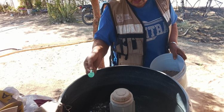 Refuerza Salud Sonora combate al dengue con fumigación de más de 65 mil hectáreas