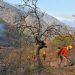 CEPC coordina esfuerzo de más de 100 combatientes forestales en Tarachi