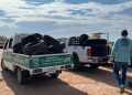 Acopia Gobierno de Hermosillo 639 llantas en Llantatón por tu Salud en La Campiña