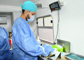 Mantiene Ayuntamiento de Hermosillo jornadas gratuitas de castración para perros y gatos