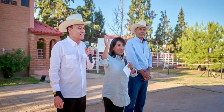Reactivan Gobernador Durazo y Presidenta Sheinbaum exportación de ganado a EU; inicia cruce por Agua Prieta