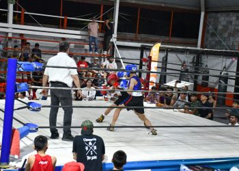 Inicia Torneo de Box de los Barrios, CRECES en Deporte