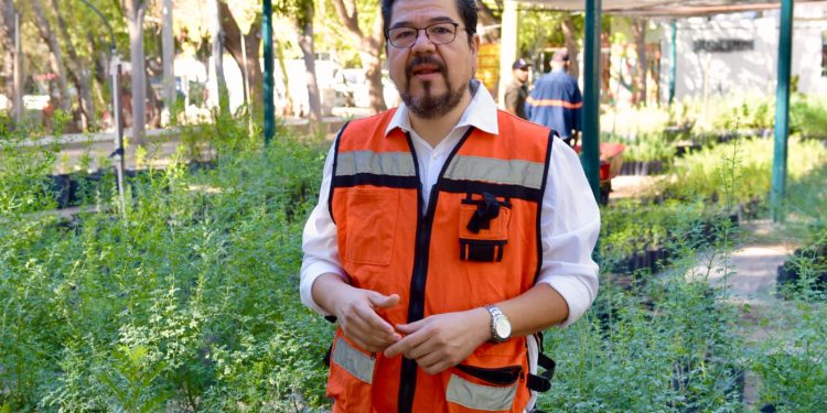 Hermosillo será más verde, con la campaña “Yo Planto Nativo”