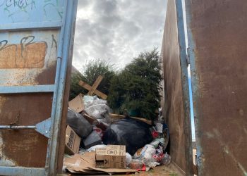 Activa Ayuntamiento de SLRC 29 centro de acopio para arbolitos de navidad