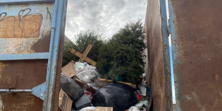 Activa Ayuntamiento de SLRC 29 centro de acopio para arbolitos de navidad