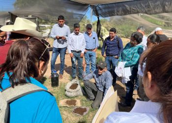 Programa de extensionismo de la Sagarhpa forma cooperativas en zonas marginadas de Sonora