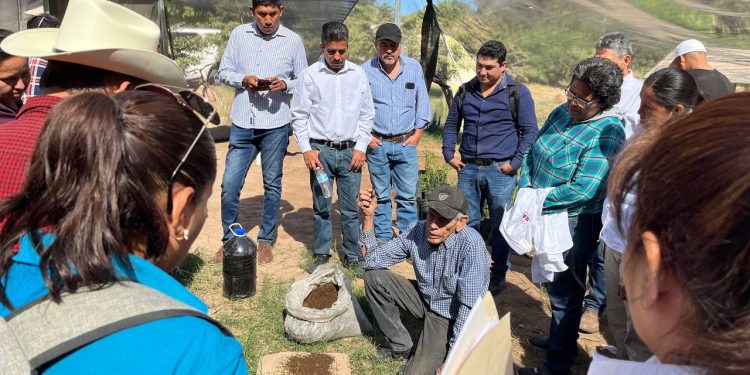 Programa de extensionismo de la Sagarhpa forma cooperativas en zonas marginadas de Sonora