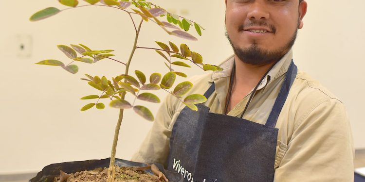 Realiza Ayuntamiento de Hermosillo cursos sobre plantas nativas en colaboración con la Universidad de Arizona