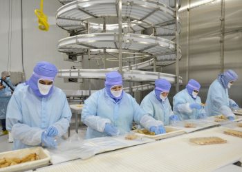 Registra Sonora 14 mil empleos nuevos en 2024