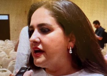 El PRIAN institucionalizó el crimen organizado que ahora combate la 4T: Celida López