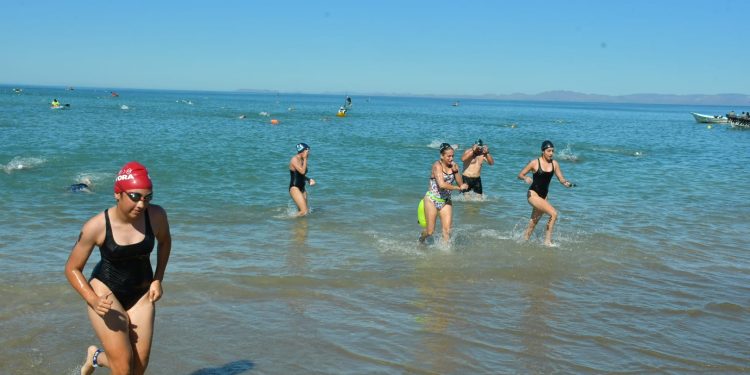 Se consolida impacto turístico del Cruce de Bahía en Bahía de Kino