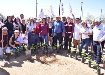 Cuidar el medio ambiente, prioridad de Morena: Lorenia Valles