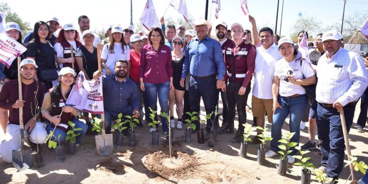Cuidar el medio ambiente, prioridad de Morena: Lorenia Valles