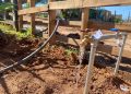 Avanza Gobierno del Estado en trabajos de red de agua potable en la colonia Tres Reinas