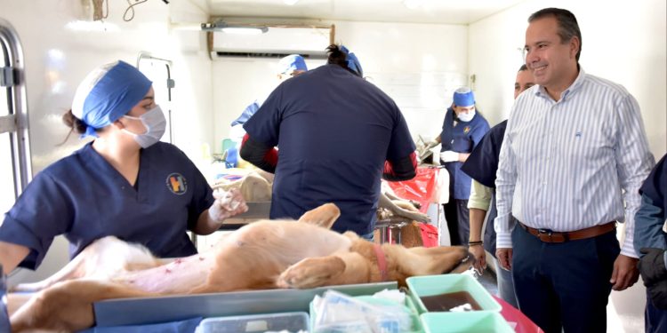 Atestigua Antonio Astiazarán jornada gratuita de esterilización de mascotas en Hermosillo