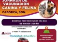 Aprovecha la Jornada de Vacunación Canina y Felina en su modalidad Drive Thru este domingo