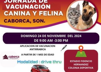 Aprovecha la Jornada de Vacunación Canina y Felina en su modalidad Drive Thru este domingo