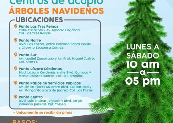 Invita Ayuntamiento de Hermosillo a depositar árboles navideños en centros de acopio