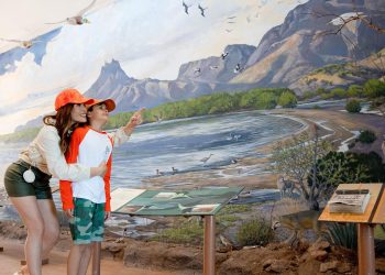 Gobernador Durazo impulsa turismo sustentable en Estero El Soldado esta Semana Santa en Sonora