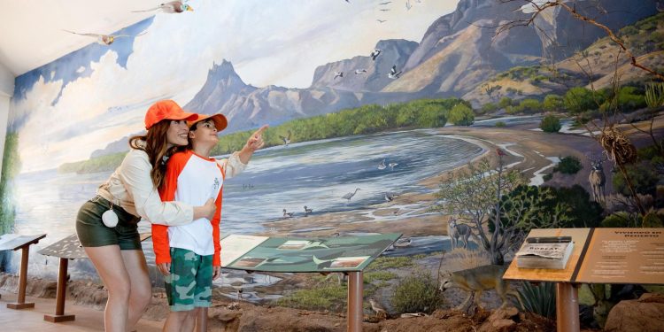 Gobernador Durazo impulsa turismo sustentable en Estero El Soldado esta Semana Santa en Sonora