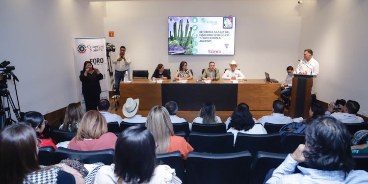 Aprueba Congreso del Estado actualizar y ampliar las categorías de la Presea del Poderío de las Mujeres Sonorenses.