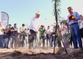 Gobernador Durazo proyecta legado ambiental con plantación de más de 4 mil árboles en La Sauceda