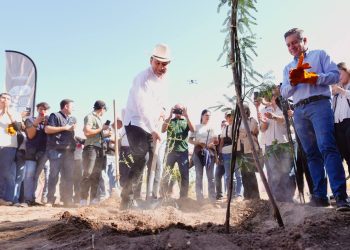 Gobernador Durazo proyecta legado ambiental con plantación de más de 4 mil árboles en La Sauceda