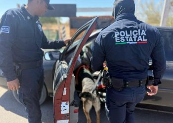 Gobierno de Sonora obtiene resultados con operativos permanentes de la Policía Estatal en Hermosillo