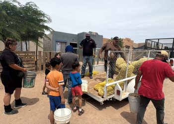 Entrega DIF Caborca más de 8 toneladas de papas a familias caborquenses